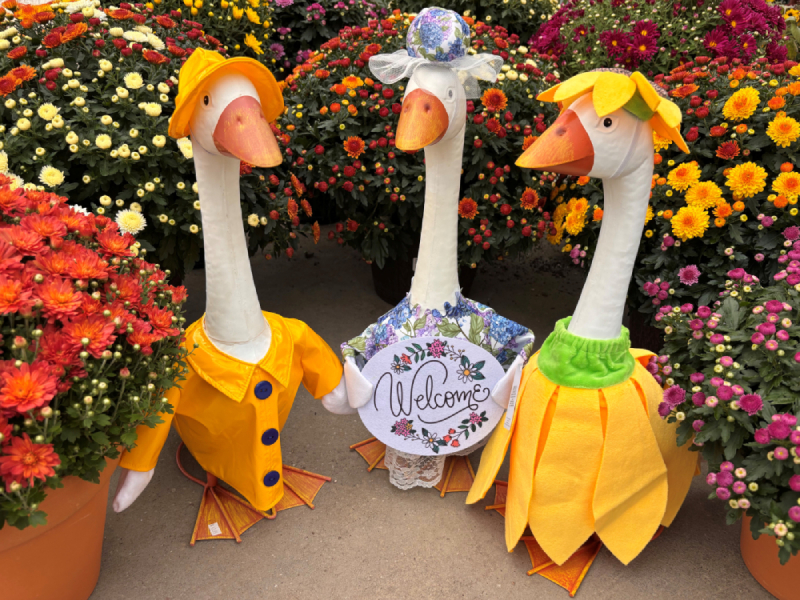 Royal Victorian Gardens